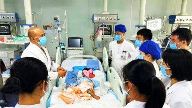 Photo of 3岁女童被毒蛇咬 假死3天奇迹生还