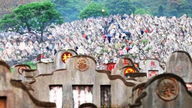 Photo of 妇女坟场偷祭品辩称怕浪费 清洁工搜证打脸