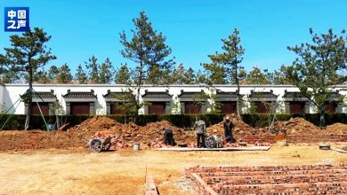Photo of 吉林惊现豪华“住宅式墓地” 单座200万元 独门独户还有两层