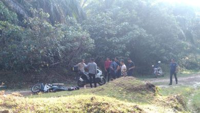 Photo of 5男潜入油棕园偷牛 开枪射伤1村民