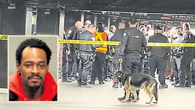 Photo of 纽约地铁月台斩伤3人 行凶男拒弃刀遭击毙