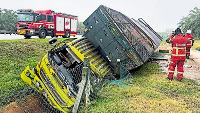 Photo of 载鸡罗里失控翻覆 2男子被抛出压死