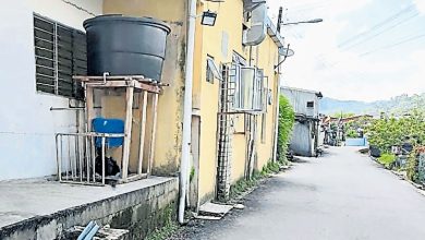 Photo of 小甘密武来岸新村 2排水沟提升计划获准