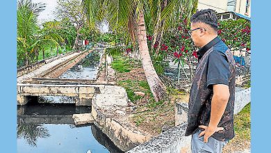 Photo of 谢守钦：罗弄班兰与柠檬眼 吁效仿玛琳水泵屋治水