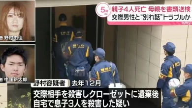 Photo of 乱刀捅死男友再杀3子 女子死后被控谋杀