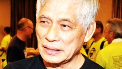 Photo of 陈文德：莱纳斯再获更新执照 长达10年