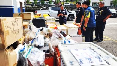 Photo of 10年起11万元哥冬叶毒品 警严遵SOP土埋销毁