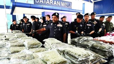 Photo of 大扫毒获新线索捣毒窝 捕7人起千万元大麻