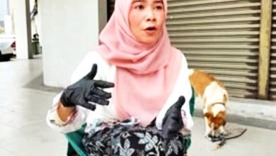 Photo of 视频〡带孩子喂流浪狗惹议 巫裔女“做不到别批评”