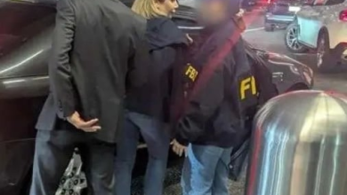 Photo of 涉助德黑兰走私军火至苏丹 伊朗女洛杉矶机场被捕起诉