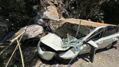 Photo of 巨石滚落砸毁路旁汽车 车主钓鱼逃过一劫