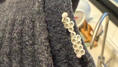 Photo of 袜子晾阳台一周 惊见14颗虫卵 女子崩溃