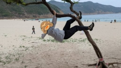 Photo of 无视禁令！中国游客疯“抱树打卡” 港郊野公园惨遭摧残