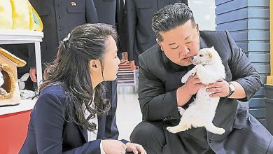 Photo of 金正恩携妻女视察宠物店 展示经济能支撑休闲消费