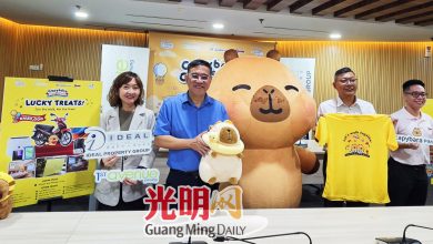 Photo of Capybara PIMOO进军大马 槟下月24水豚主题步行