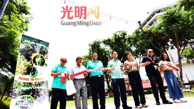 Photo of 槟岛第3座树冠桥建成第5天 发现猴群脚印