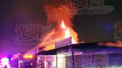 Photo of 大年迷你市场陷火海 华裔母子机警报案救整排店