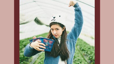 Photo of 传抢赢秦岚陈妍希 赵露思医疗剧当女一