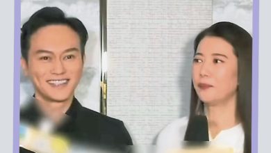 Photo of 袁咏仪戒购物瘾  张智霖赞“懂事”