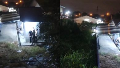 Photo of 保安一声吼 3贼狼狈遁逃