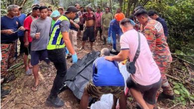 Photo of 爬12米高树采蜜 男子失足坠亡