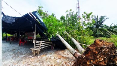 Photo of 暴风雨袭牛啦渔村 数民宅屋顶受损