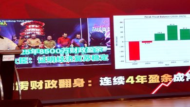Photo of 倪可敏：团结政府重视华团 里应外合共解问题