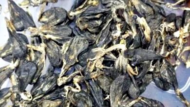 Photo of 柔破野生动物走私案 充公602蛇胆420熊胆等 值3684万肢体器官