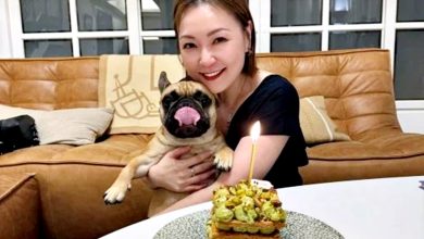 Photo of 持续低烧入院检查 田蕊妮再患癌症