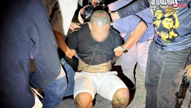 Photo of 警设美人计诱捕嫌犯 侦破连环偷摩多案