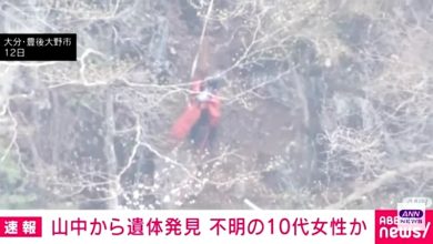 Photo of 日少女失踪案告破 58岁男被捕 山区寻尸