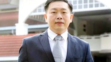Photo of 森政局动荡|宪政律师:局势趋复杂 或现双包统治者 双包大臣