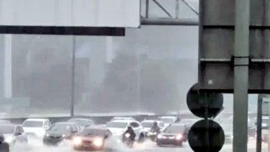 Photo of 豪雨袭雪隆 TTDI淹水树倒交通受阻