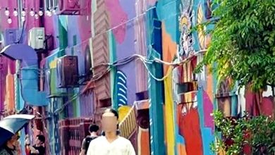 Photo of 指被电召车司机骂没素质 中国客控诉游马蒙阴影
