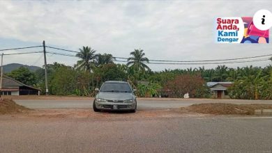 Photo of 杜绝非法U转 仁岭路建分界堤