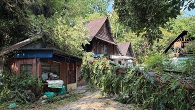 Photo of 暹庙大树倒塌 屋主逃过一劫