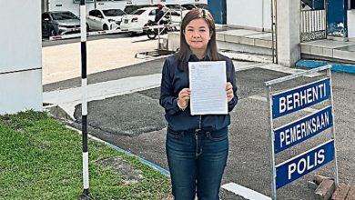 Photo of 网传抓狗队车撞碾流浪狗 林添顺谴责要报警彻查