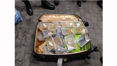 Photo of 251珍稀动物挤爆行李箱  大马男泰机场被捕