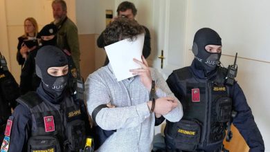 Photo of 涉策划恐袭天后泰莱演唱会  21岁男被判15年徒刑