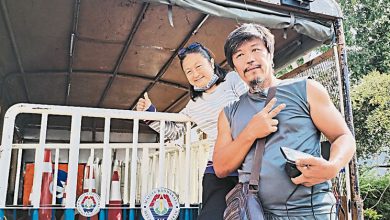 Photo of 2爱动物人士 1375元标3流浪羊