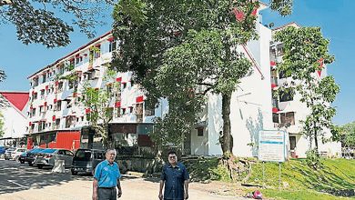 Photo of 罗白星光组屋2景象 管理断层 部份楼栋失修