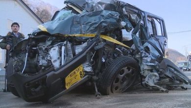 Photo of 北海道自驾游车祸 2女游客1死1伤