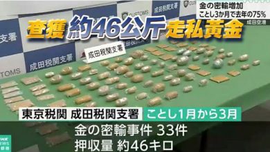 Photo of 33宗全来自香港! 日成田机场黄金走私暴增   3个月查获量达去年75%