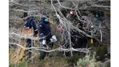Photo of 美国罗马尼亚现汉坦病例 与荷兰邮轮爆疫无关