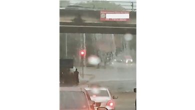 Photo of 蒲种金鑾区高架桥 雨水如瀑布倾泻