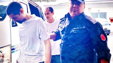 Photo of 贩运人蛇罪成 2泰男各罚6千