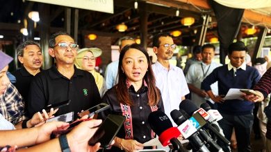 Photo of 女游客坠坑亡家属索赔 杨巧双:交法庭裁决