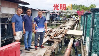 Photo of 高渊港口第十条路木桥 获20万全面升级混凝土结构