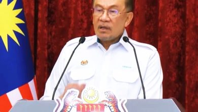 Photo of 政府将发放200令吉助翻种 安华：惠及24万稻农