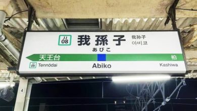 Photo of “我孙子”不是笑话 日本车站名藏深意 旅日达人揭可能渊源